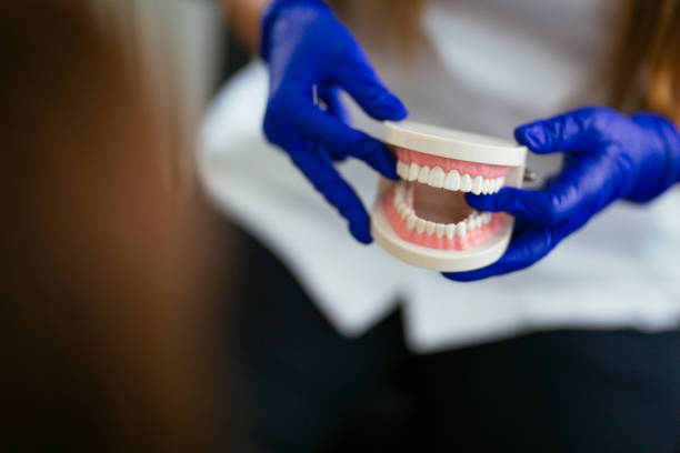 Best Dental Exams and Cleanings  in Brewster, NY